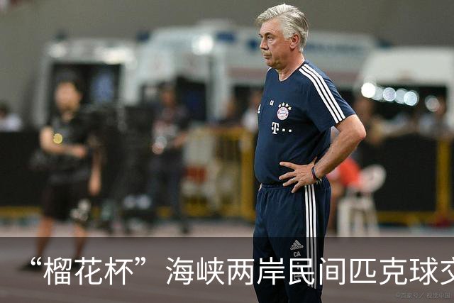 “榴花杯”海峡两岸民间匹克球交流赛在云南省玉溪开赛