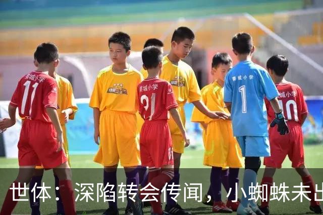 世体：深陷转会传闻，小蜘蛛未出现在马竞新赛季球衣宣传照中