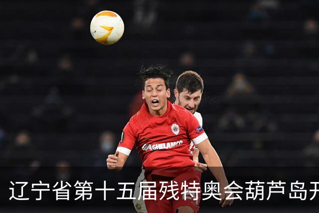 辽宁省第十五届残特奥会葫芦岛开赛 356名健儿参与角逐